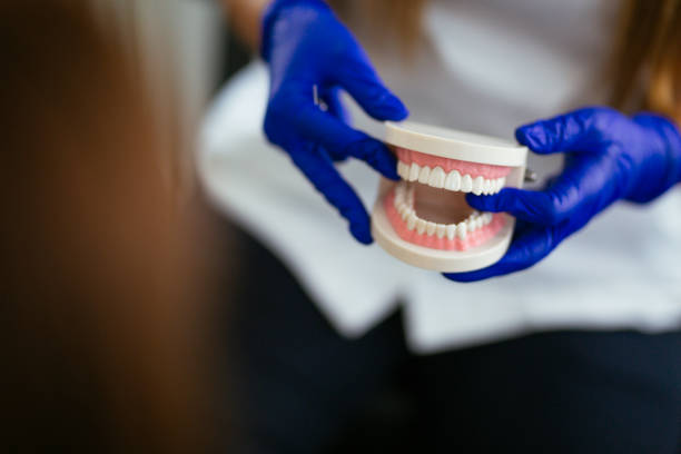 Professional Dental Services in Grandview, IL